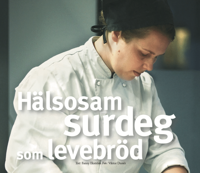 Hälsosam surdeg som levebröd