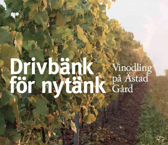 Åsta vingård i Halland