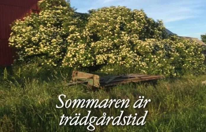 Sommaren är trädgårdstid