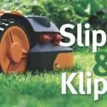 Grönkål – hälsosam trend