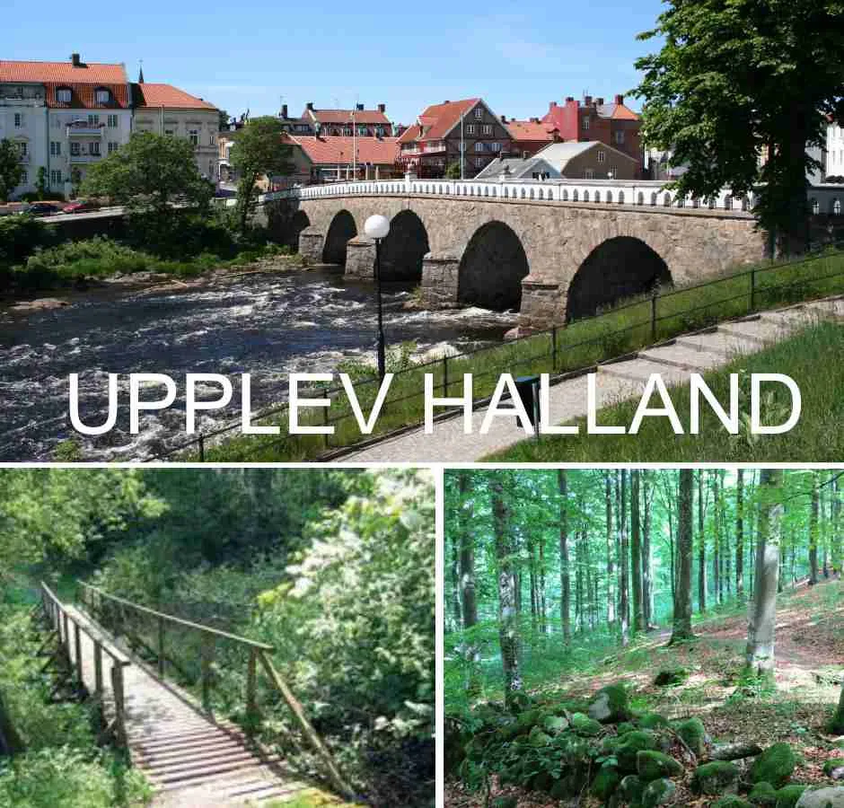 Naturupplevelser i Halland. Vandra i skog och stad.