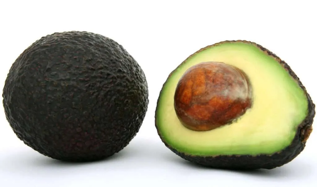 Avokado är hjärngodis som är nyttigt för hjärnan och kroppen.