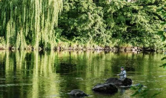 bild på å i falkenberg